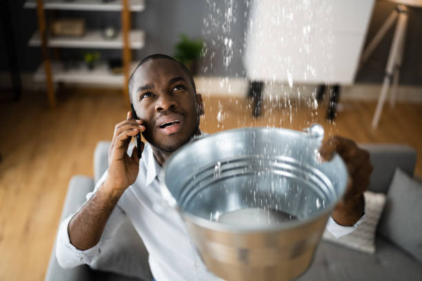 Best Ceiling water damage repair  in Westernport, MD