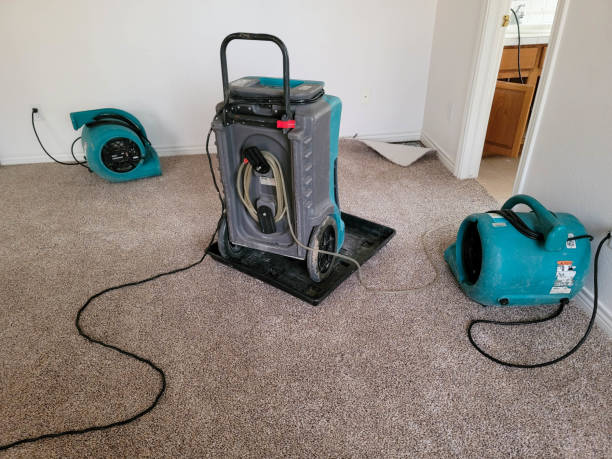 Best Residential water damage restoration  in Westernport, MD