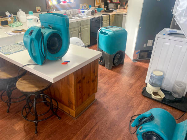 Best Commercial water damage restoration  in Westernport, MD