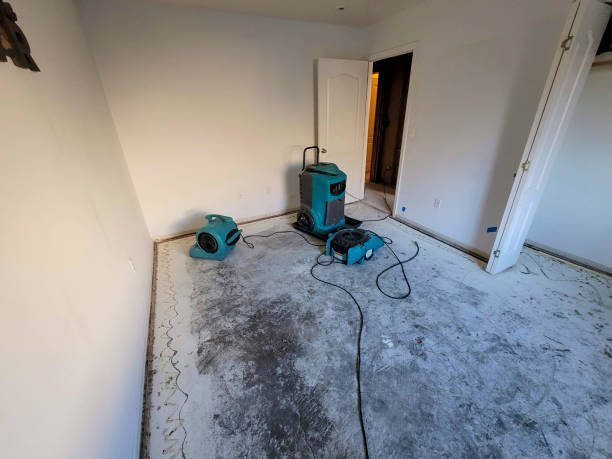 Best Water damage mitigation services  in Westernport, MD