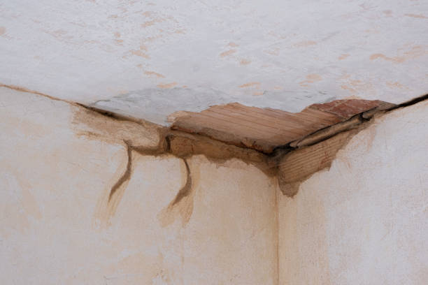 Best Water damage restoration company  in Westernport, MD