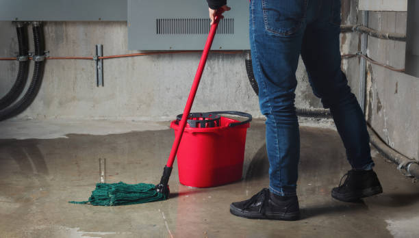 Best Local water damage restoration  in Westernport, MD