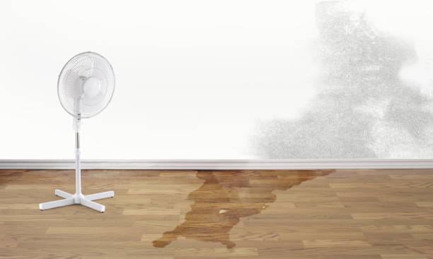 Local water damage restoration in Westernport, MD