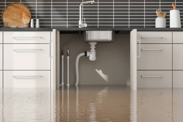Best Carpet water damage restoration  in Westernport, MD
