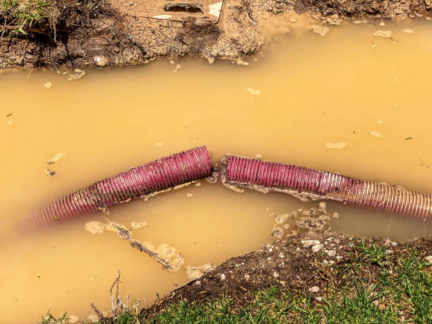 Water damage restoration experts in Westernport, MD