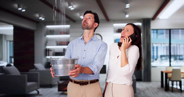 Best Basement water damage restoration  in Westernport, MD