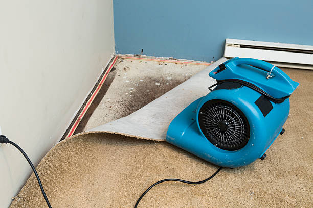 Best Emergency water damage restoration  in Westernport, MD
